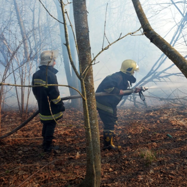 Я борюся з пожежами в Чорнобилі — Власний досвід на The Village Україна