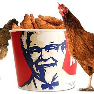 В Киеве появится сеть быстрого питания Kentucky Fried Chicken — Ситуація на The Village Україна