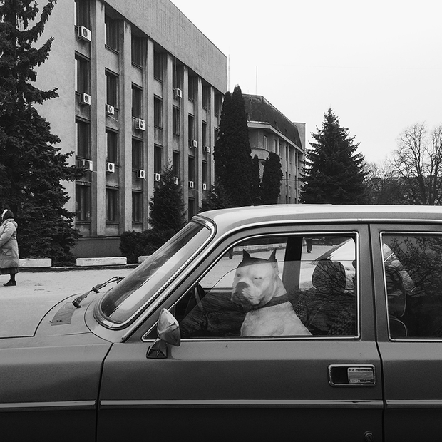 Собаки за кермом, «Інтурист», сакура: альтернативний Ужгород у проєкті «Альтернативна археологія» — Камера спостереження на The Village Україна