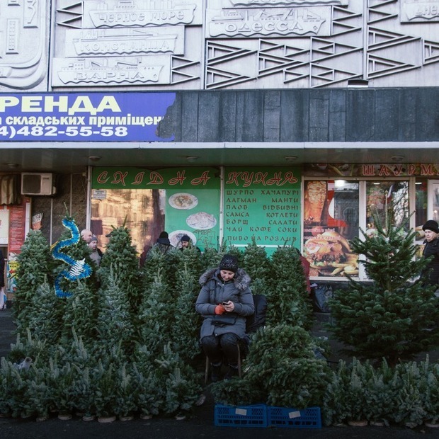 Чому варто здати ялинку на переробку, а не викинути в смітник? — Еко на The Village Україна