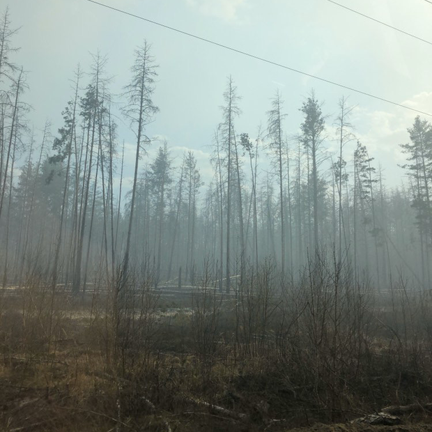 Чорнобильський ліс продовжує горіти: кадри з села поблизу Чорнобиля — Фоторепортаж на The Village Україна