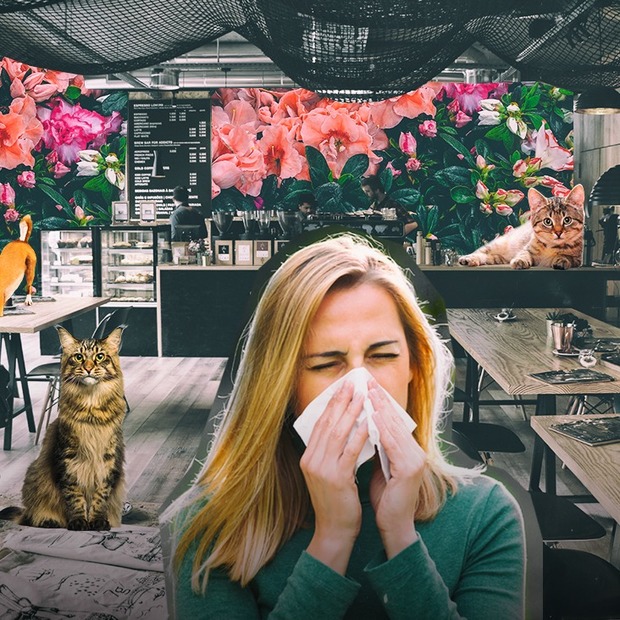 Як вижити у pet-friendly місті, якщо в тебе алергія на тварин — Люди в місті на The Village Україна