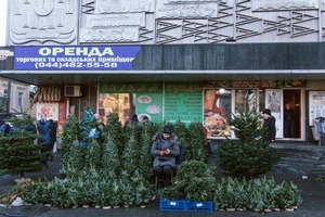 Чому варто здати ялинку на переробку, а не викинути в смітник? Чому варто здати ялинку на переробку, а не викинути в смітник?