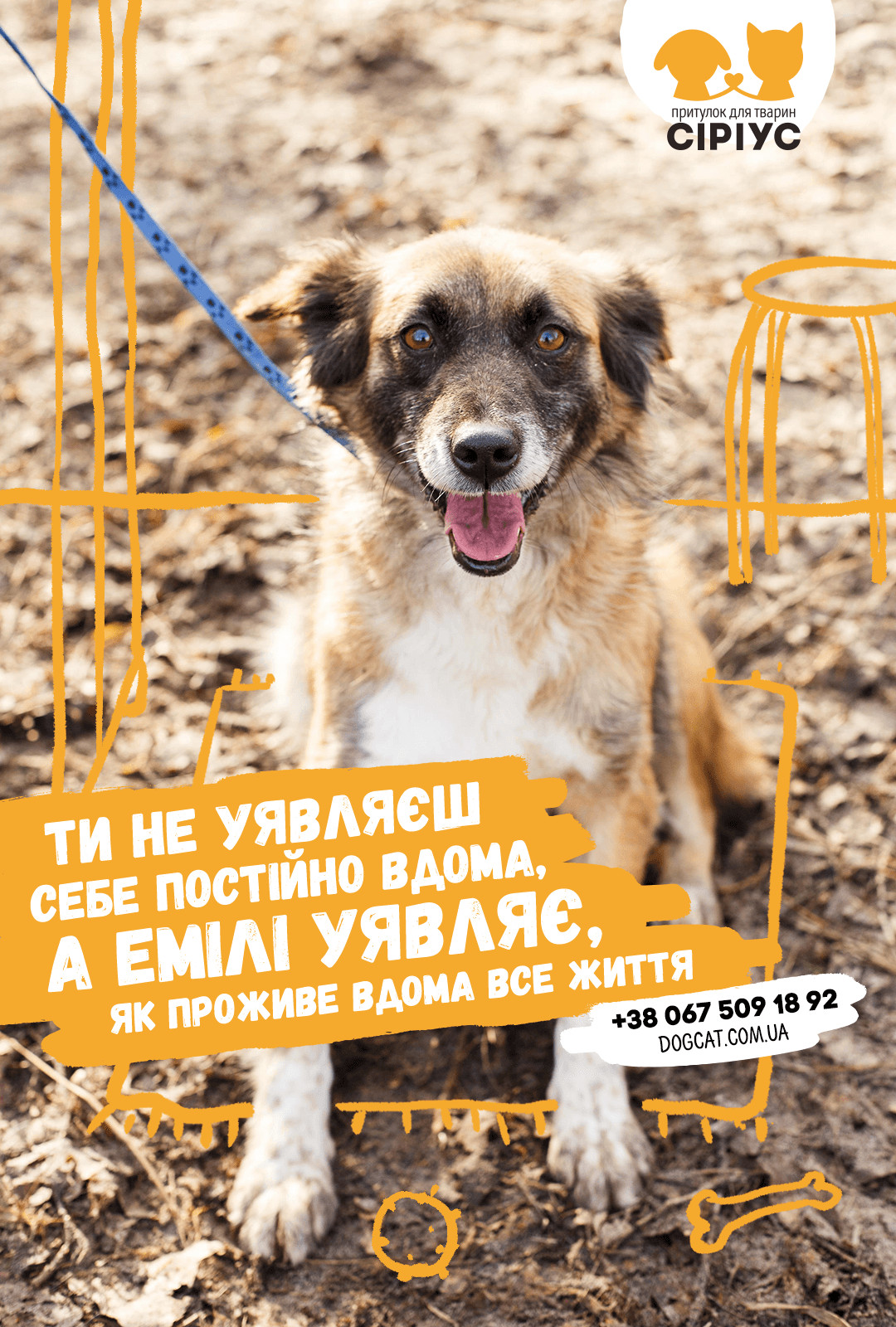 ПРИТУЛОК ТВАРИН