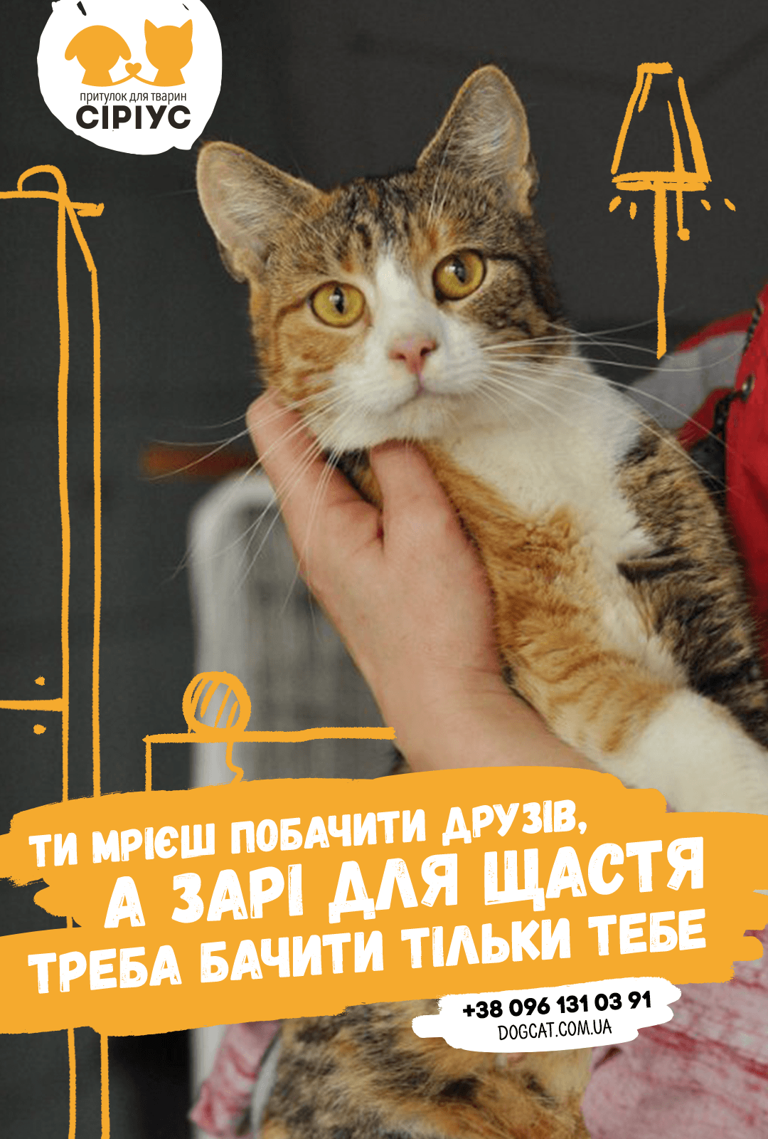 притулок тварин